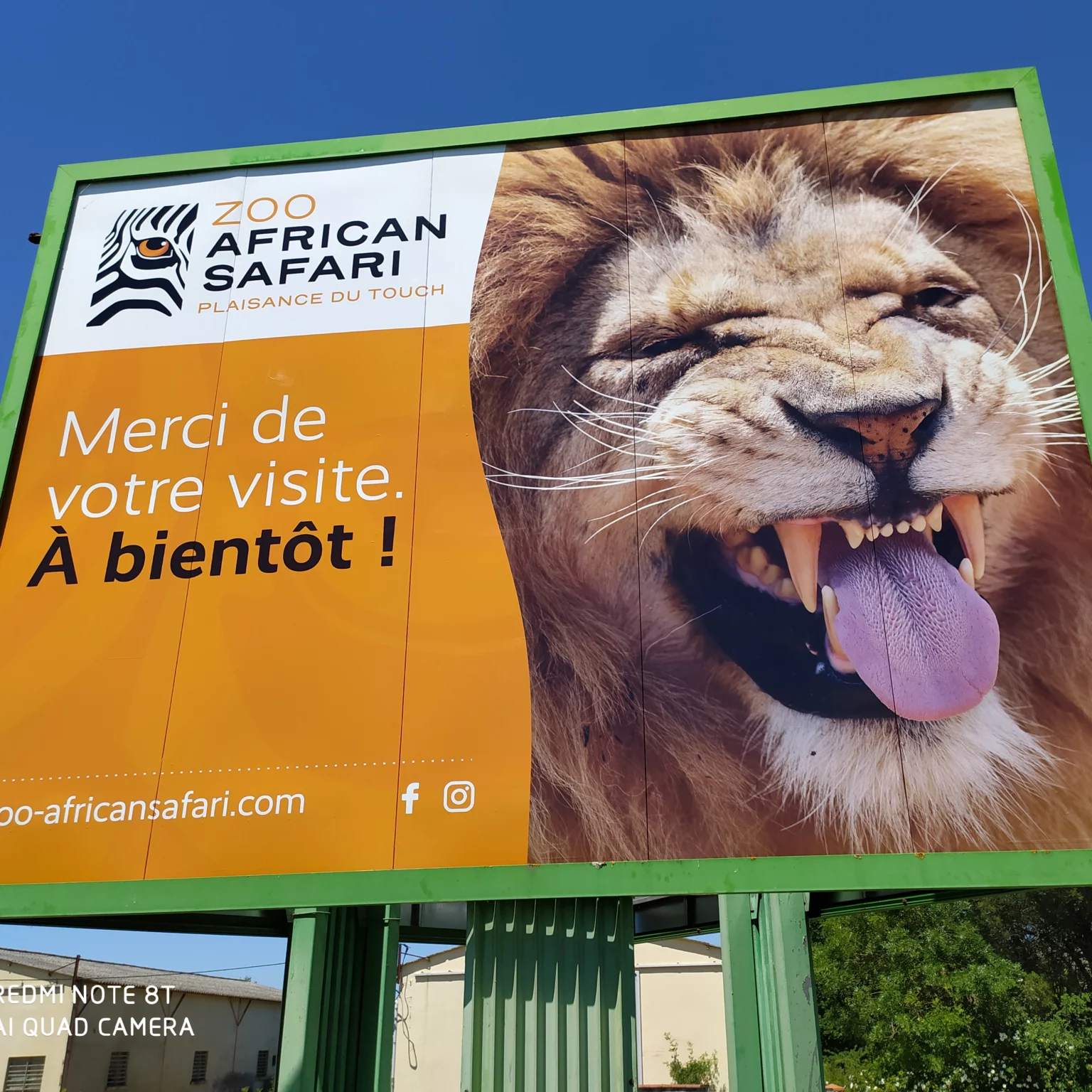 panneau-poteau-african-safari-lion